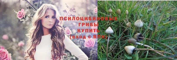 твердый Алексин