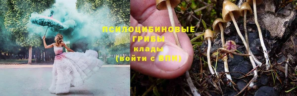 твердый Алексин