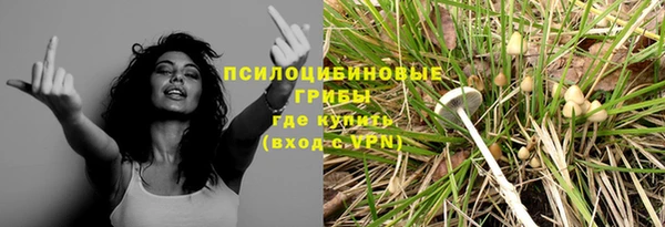 МДПВ Абаза