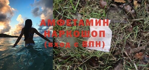 твердый Алексин