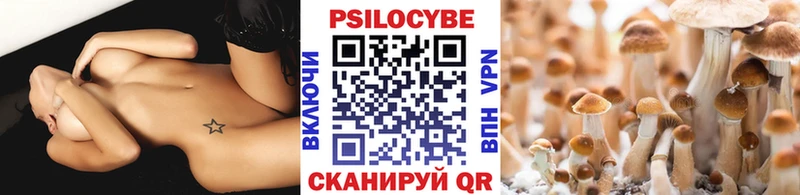купить наркотик  Таштагол  Псилоцибиновые грибы Magic Shrooms 